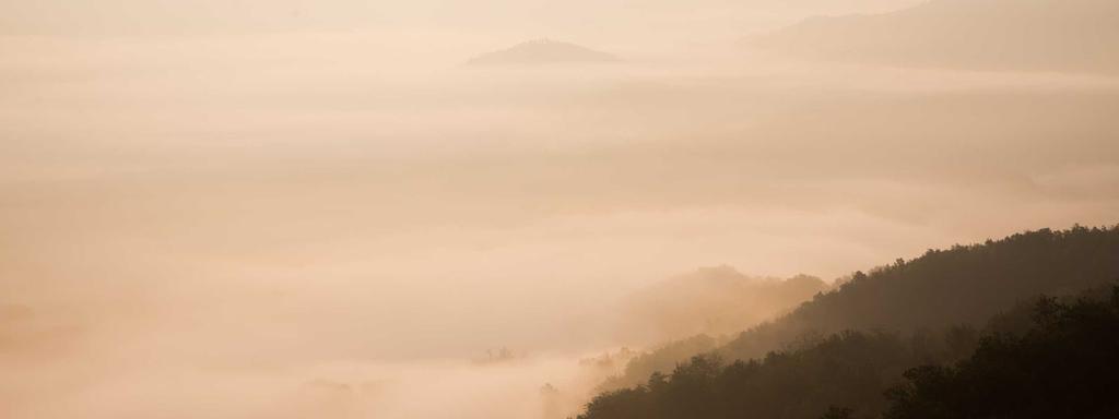 Foto di copertina