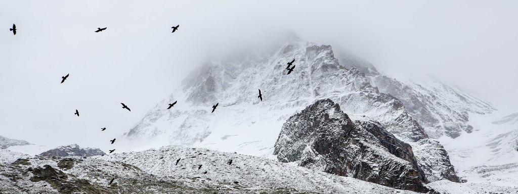 Foto di copertina