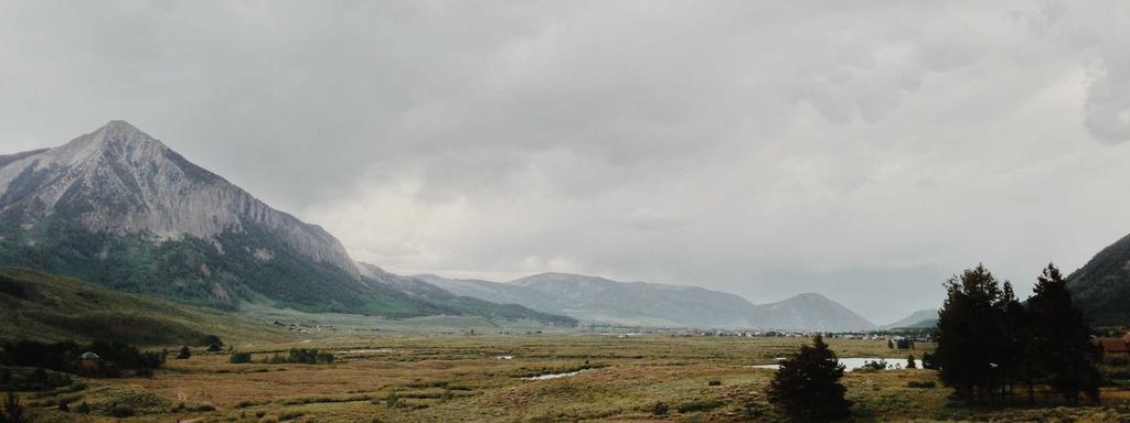 Foto di copertina
