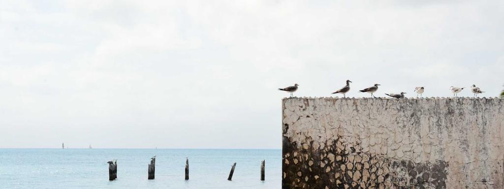 Foto di copertina