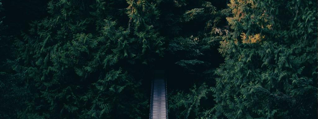 Foto di copertina