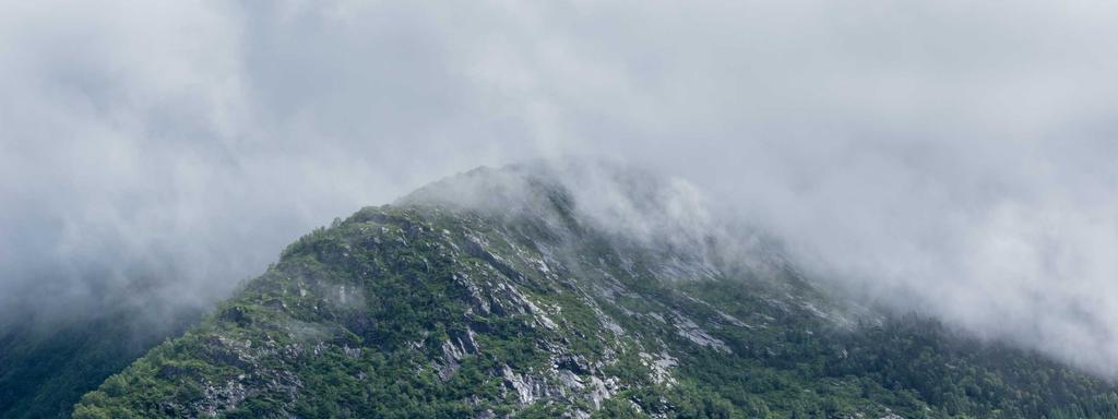 Foto di copertina